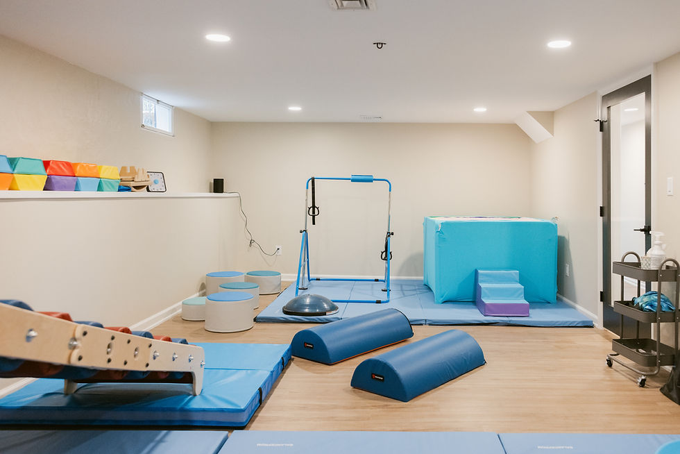 Clear Path Pediatric Therapy - Open Sensory Gym