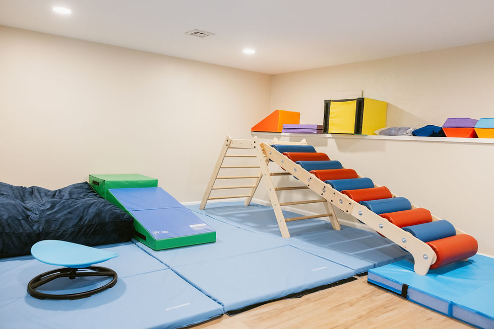 Climbing and soft-play equipment at Clear Path's sensory gym