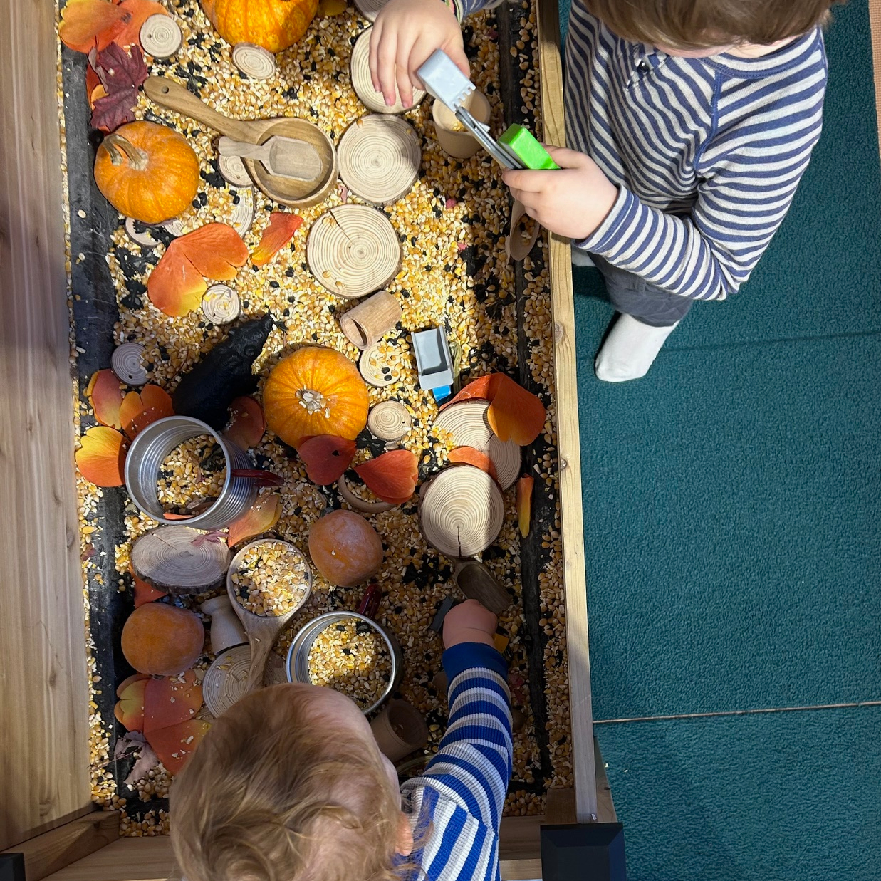 Children playing at a seasonal sensory table at Cocoon Hailey.
