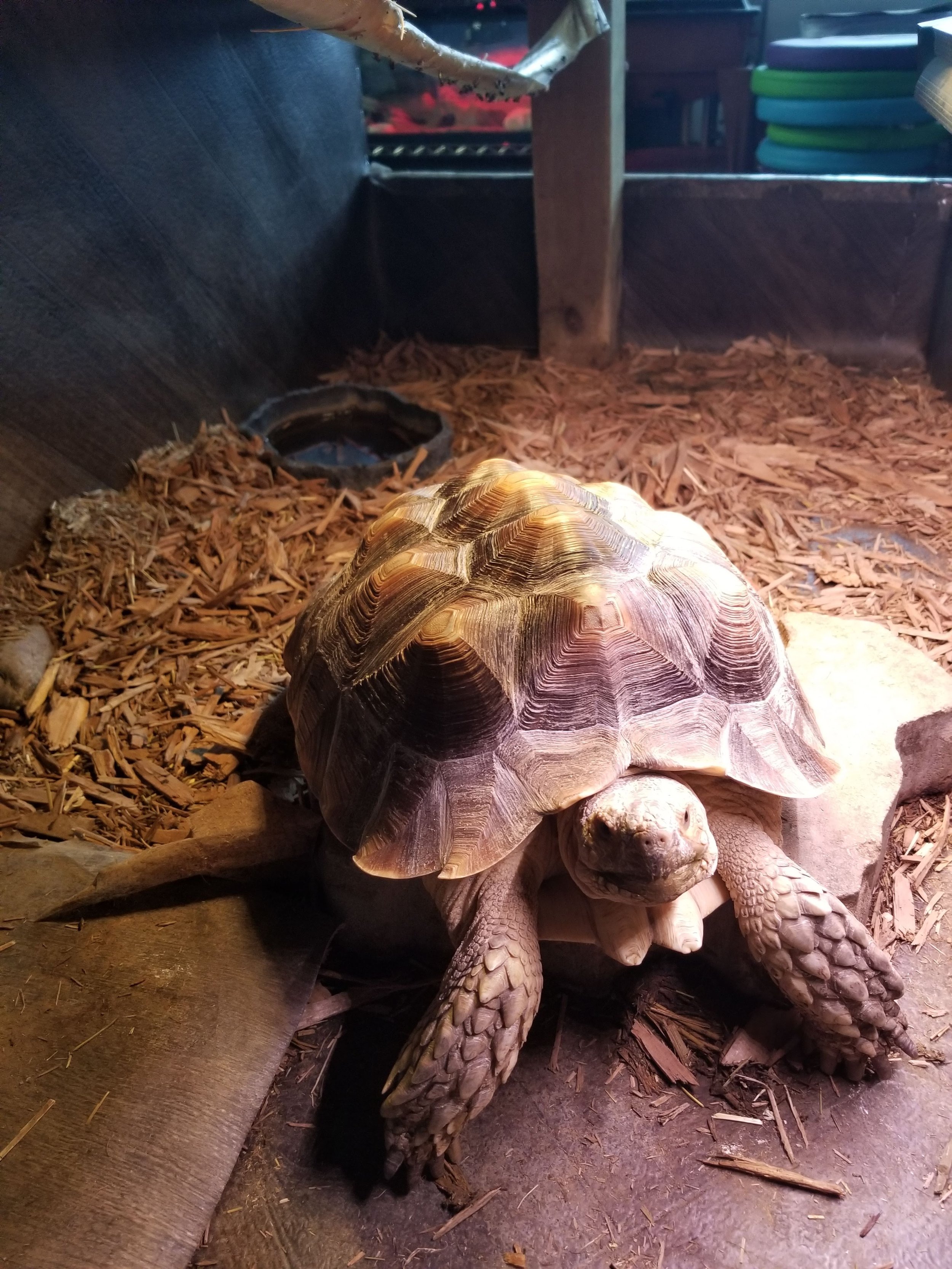 Animal encounter at COGNiTiON Science & Discovery Center.
