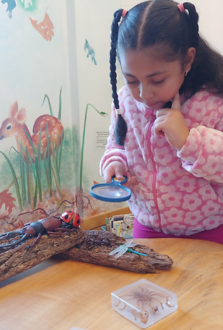 Connecticut Children's Museum