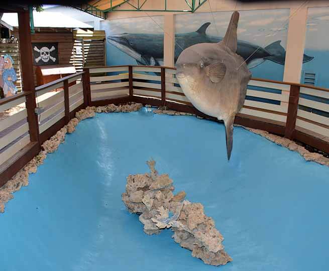 Crane Point Museum & Nature Center