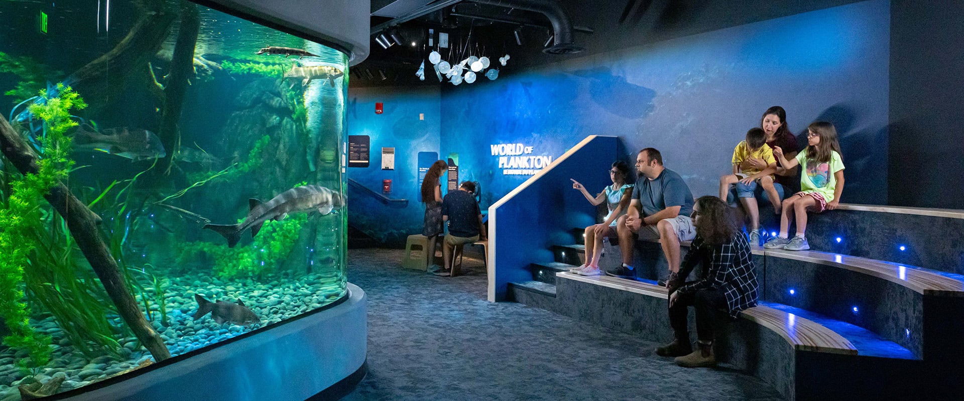 Wide view of a hands-on exhibit area inside ECHO.