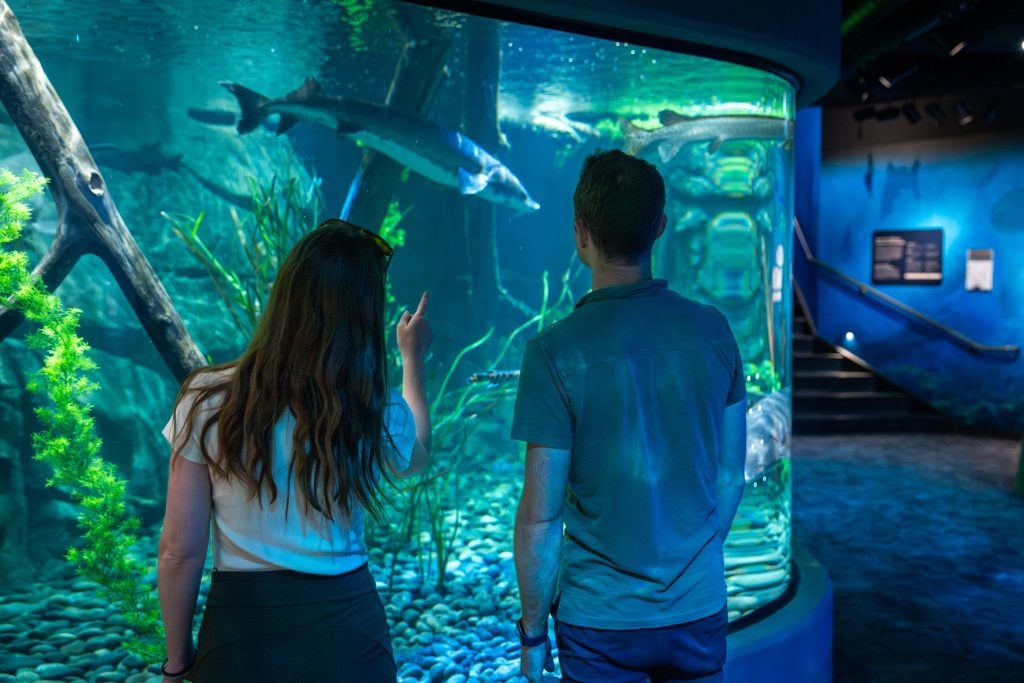Children and adults interacting with an exhibit inside ECHO.