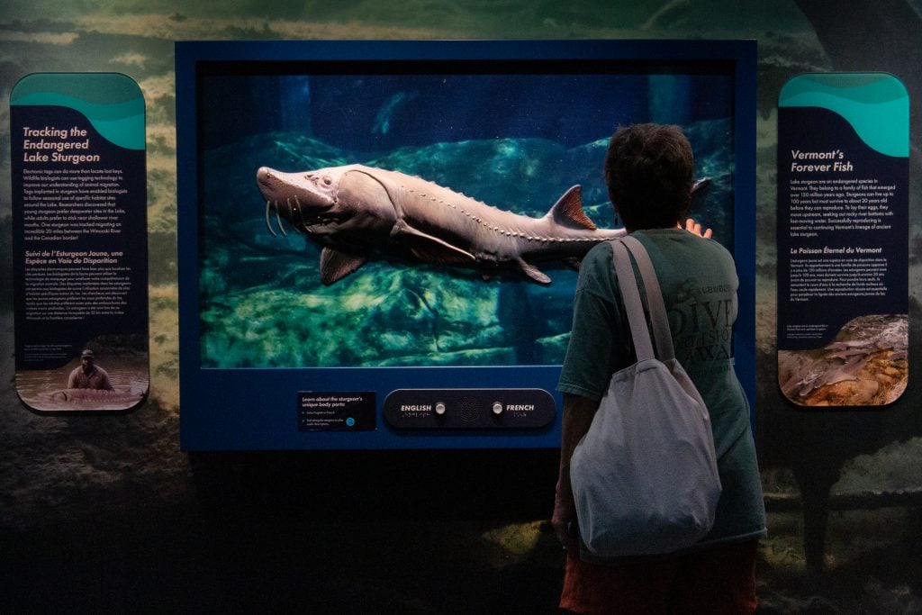 Family-friendly exhibit area at ECHO with hands-on learning elements.