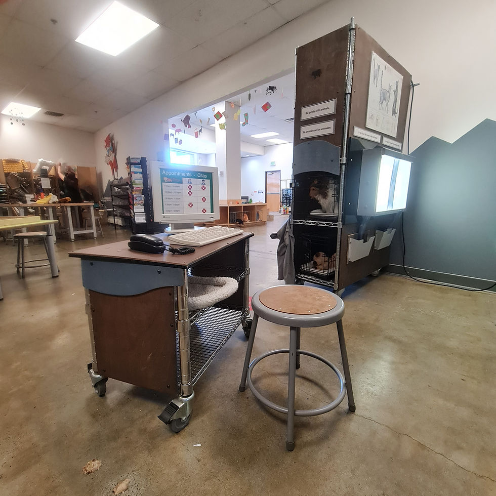Sensory-focused exhibit area at the Fairbanks Children's Museum.