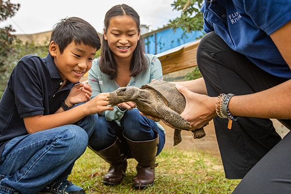 Children meeting a turtle during a Flint RiverQuarium animal encounter