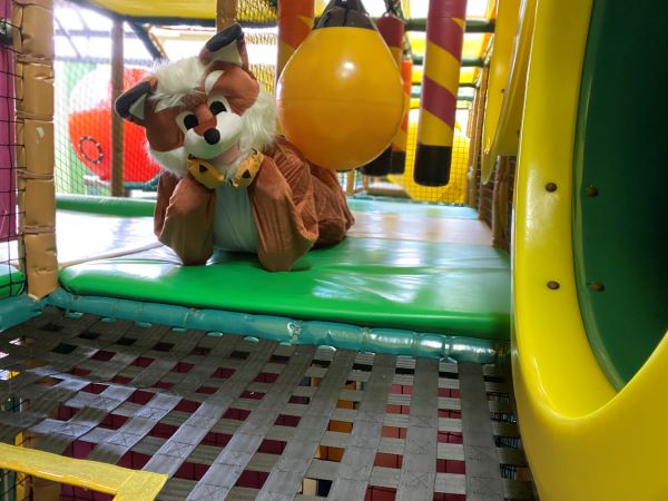 Forest the Fox's Playbox