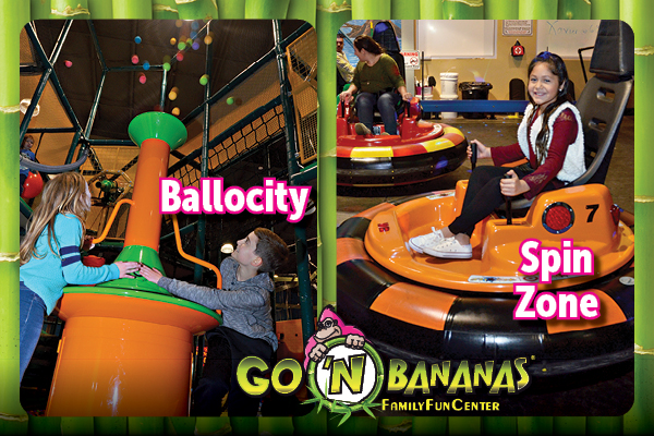 Ballocity indoor play structure at Go 'N Bananas