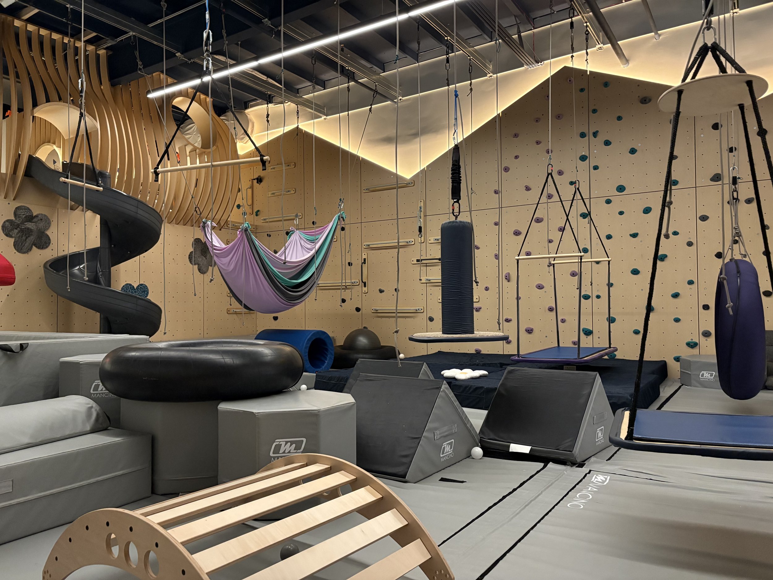 Play equipment inside GroWild Boutique Playroom
