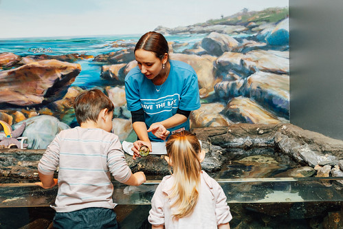 Official aquarium exhibit photo from Save The Bay