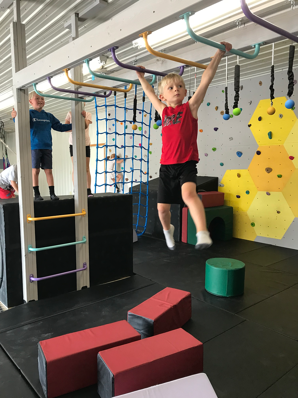 Happy Hive gallery image 2