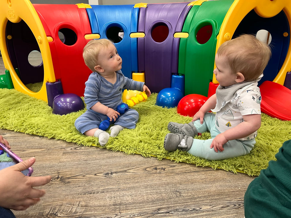 Toddler-friendly indoor play area at Honey Hippo Play Café in Great Falls.