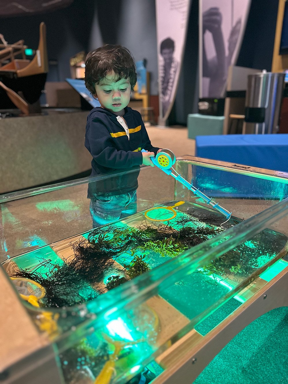 ʻImiloa Astronomy Center gallery image 4