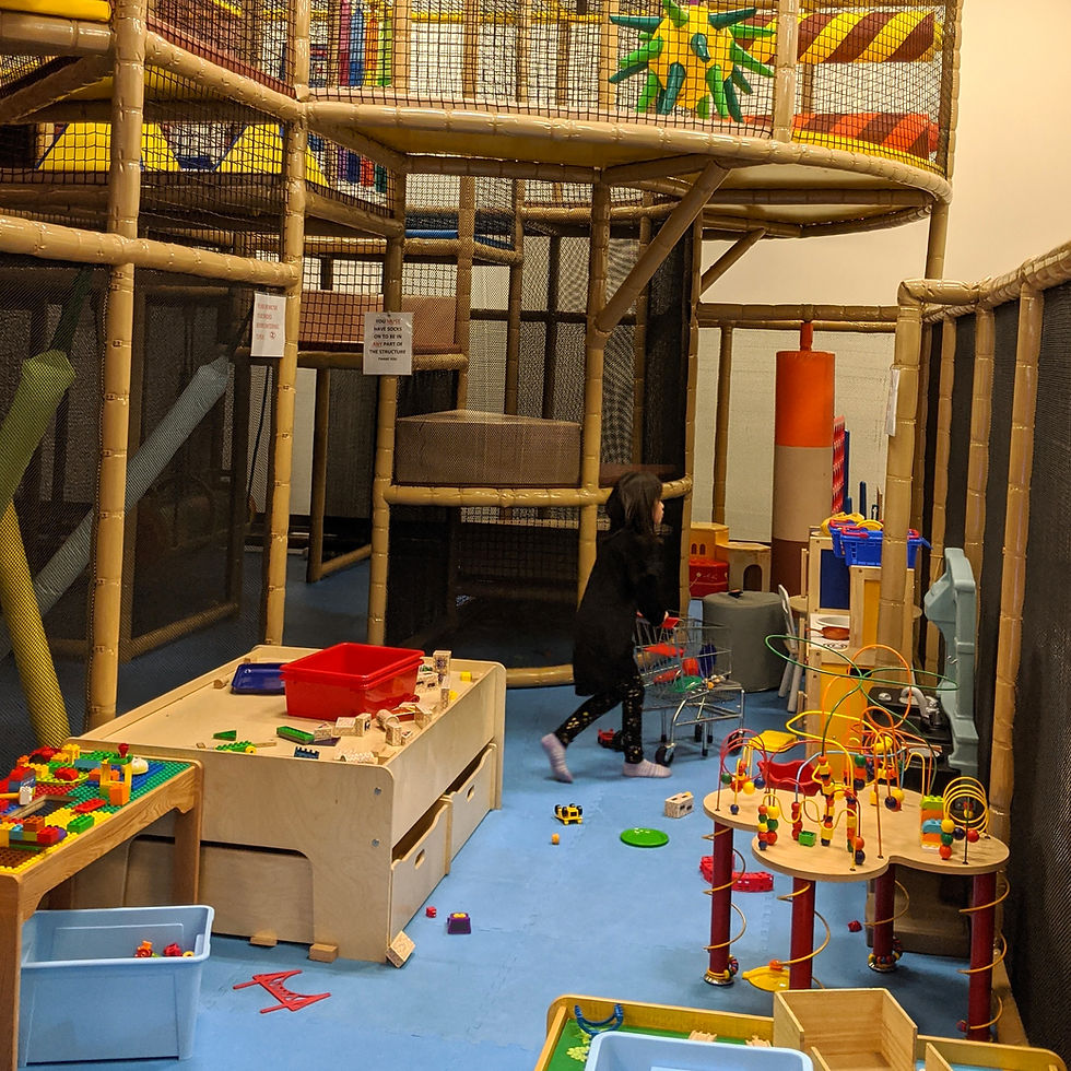 Jolly Roger Land San Jose