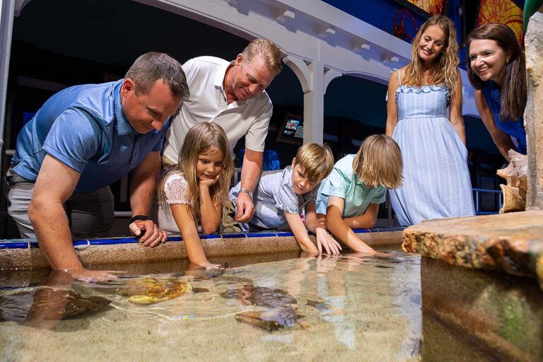 Visitors gathering around the touch tank at Key West Aquarium.