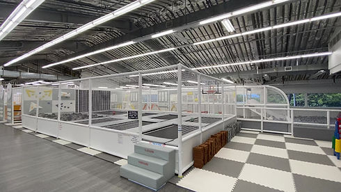 Kids City Adventure Honolulu trampoline zone