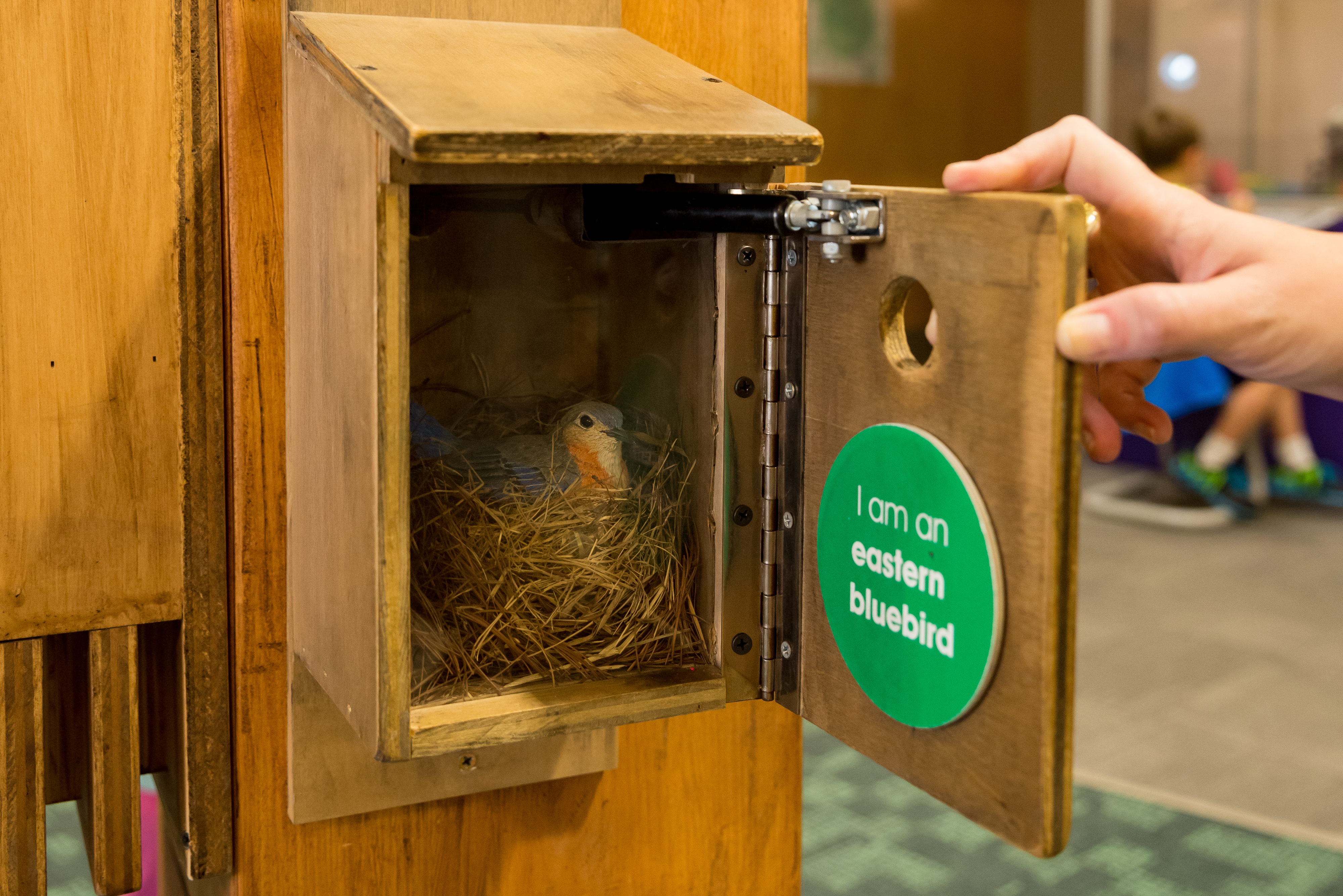 kidscommons gallery image 1