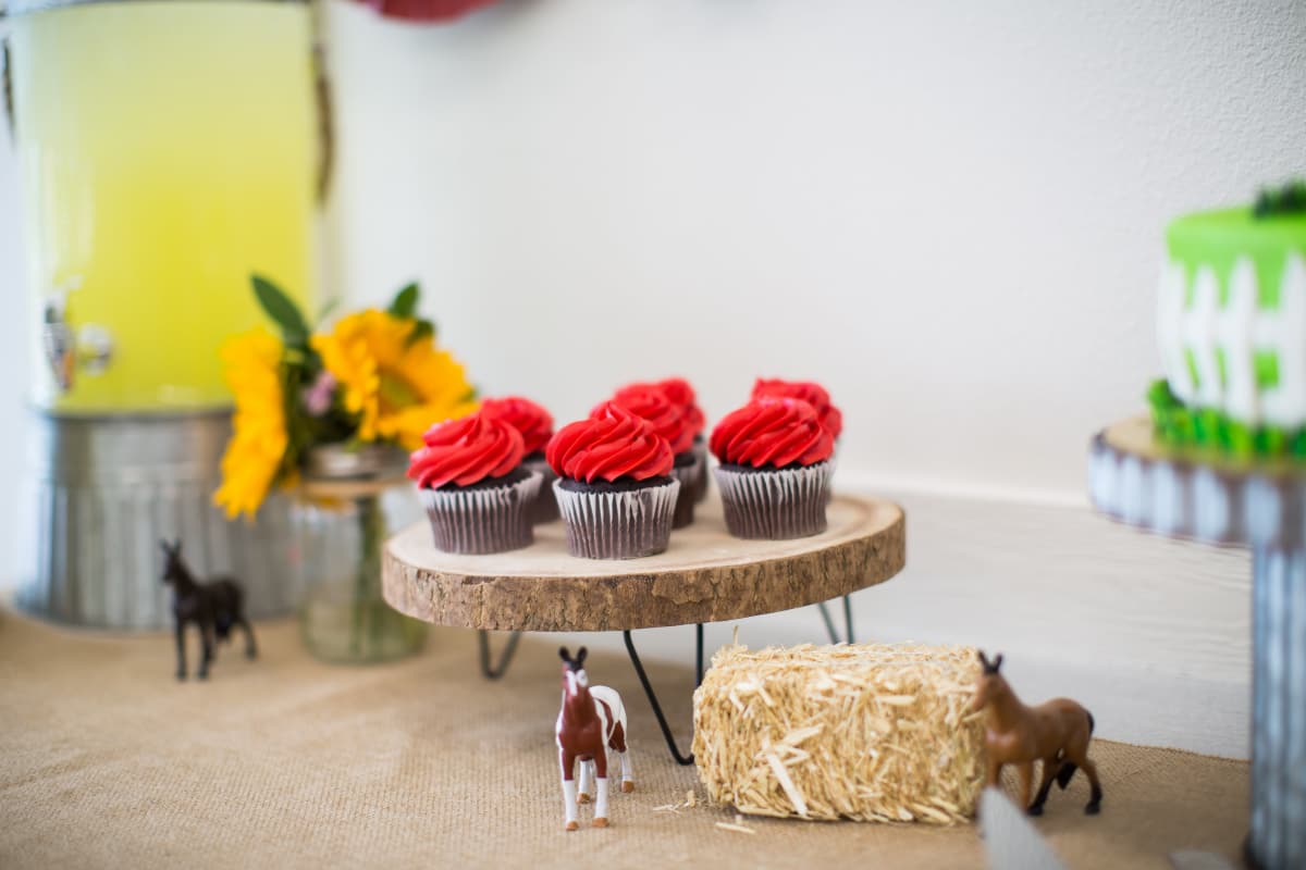 Cupcakes and party details at Little Bee's Playhouse.