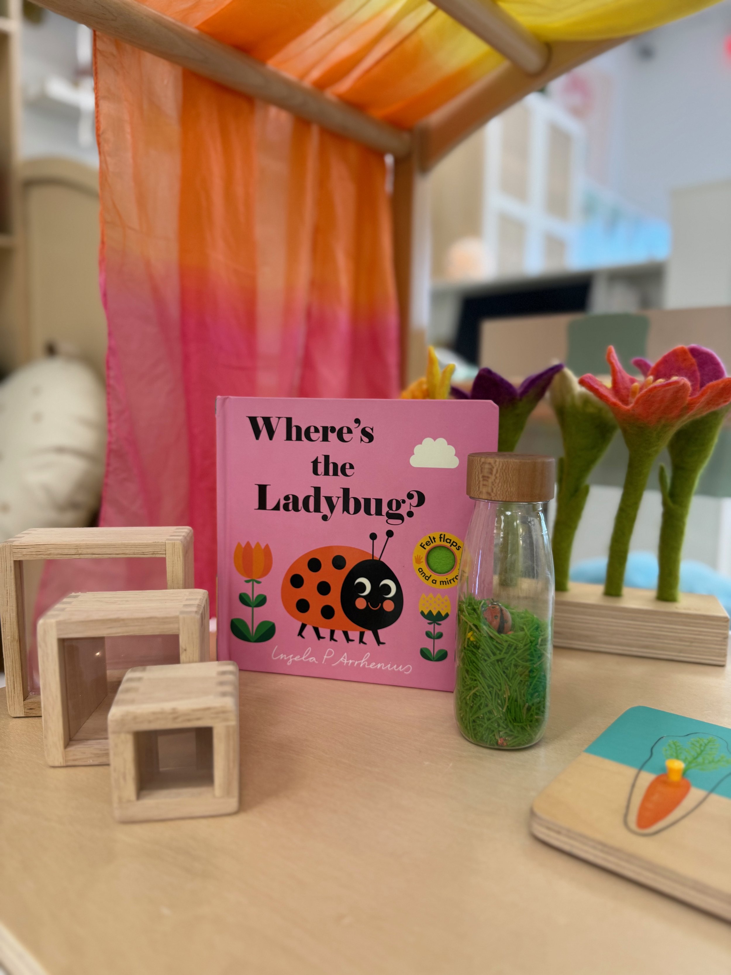 Close-up of books and wooden toys set out for child-led play at Little Magic Playland.