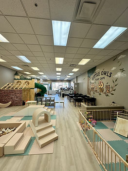 Little Owls Play Cafe