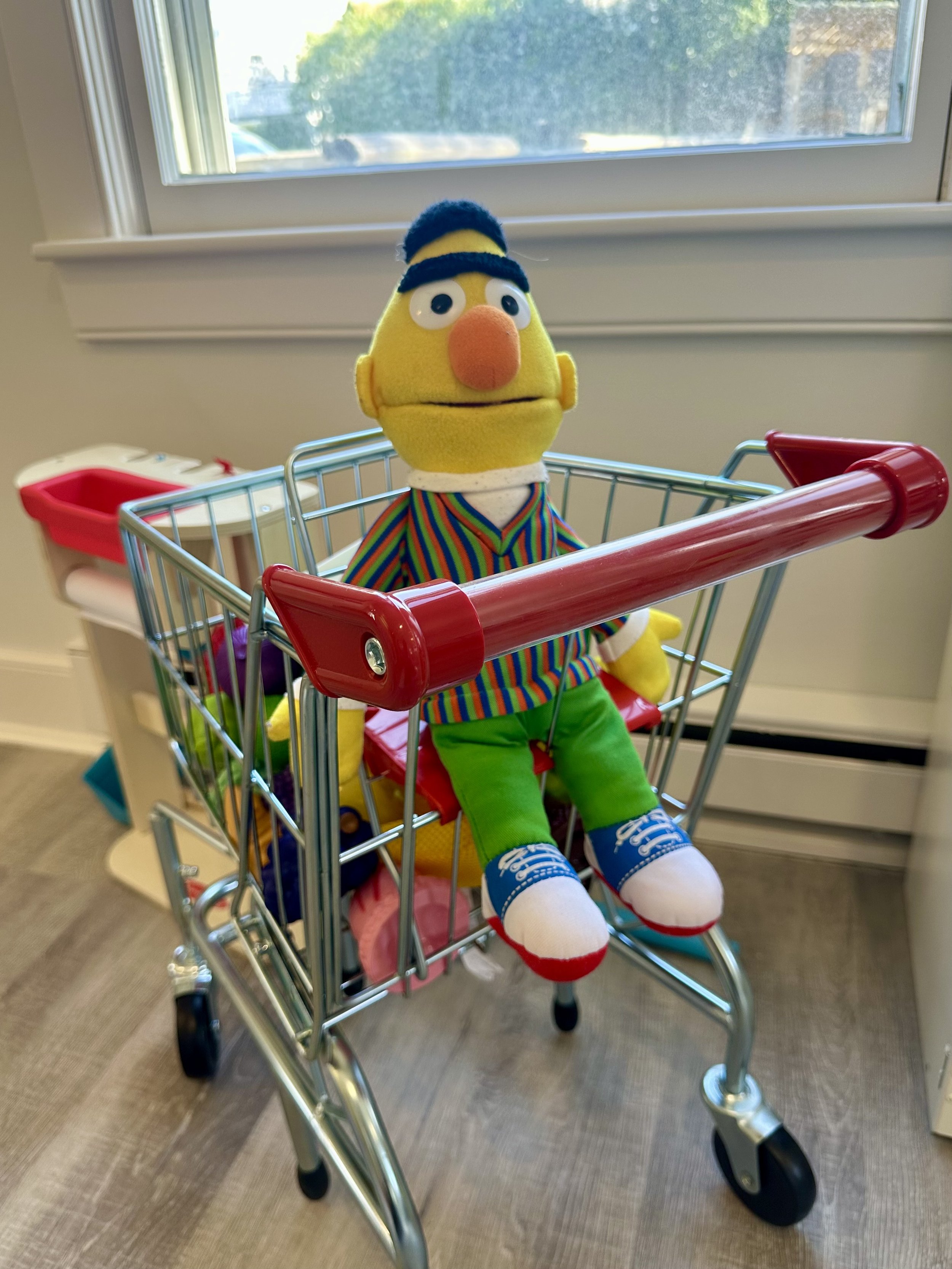 Toy shopping cart and puppet at Nantucket Toy Library.