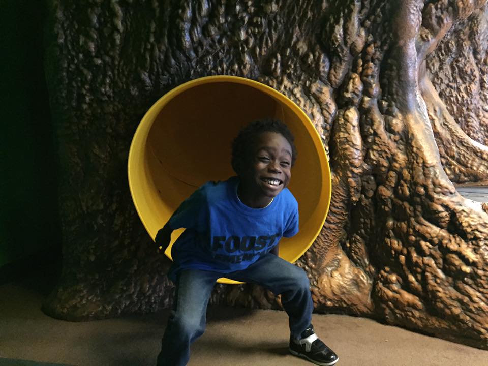 Owensboro Museum of Science & History gallery image 2