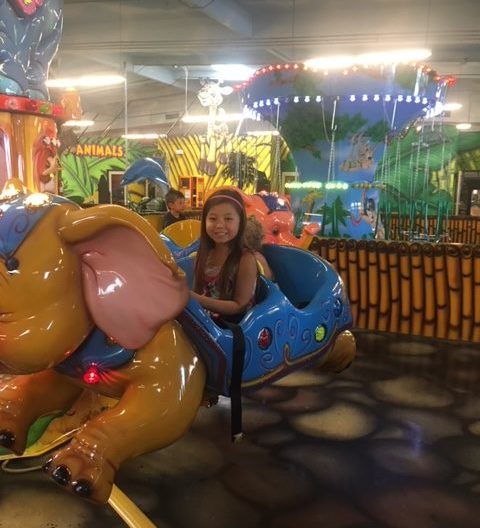 Party Jungle interior play area