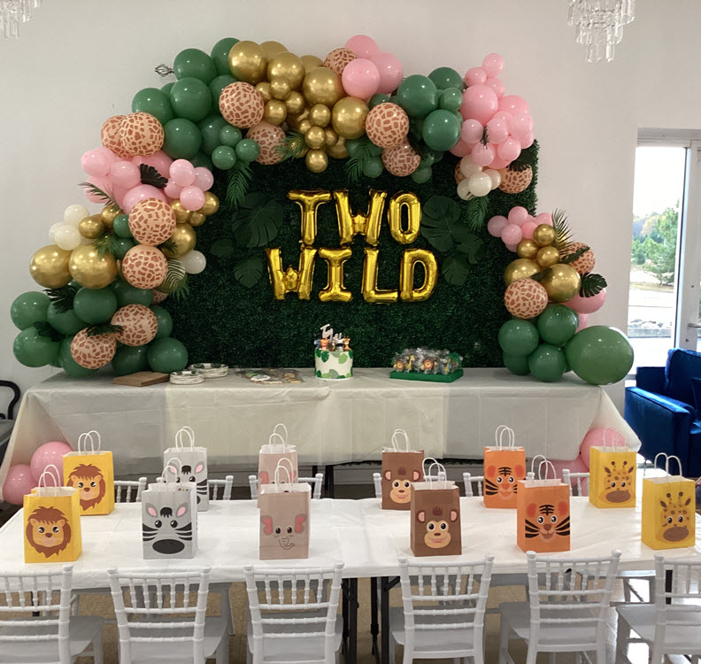 Celebration setup at Play Fun Party Fayetteville