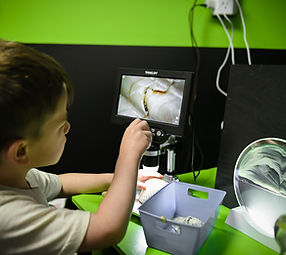 PlayDate: A Children's Museum gallery image 2