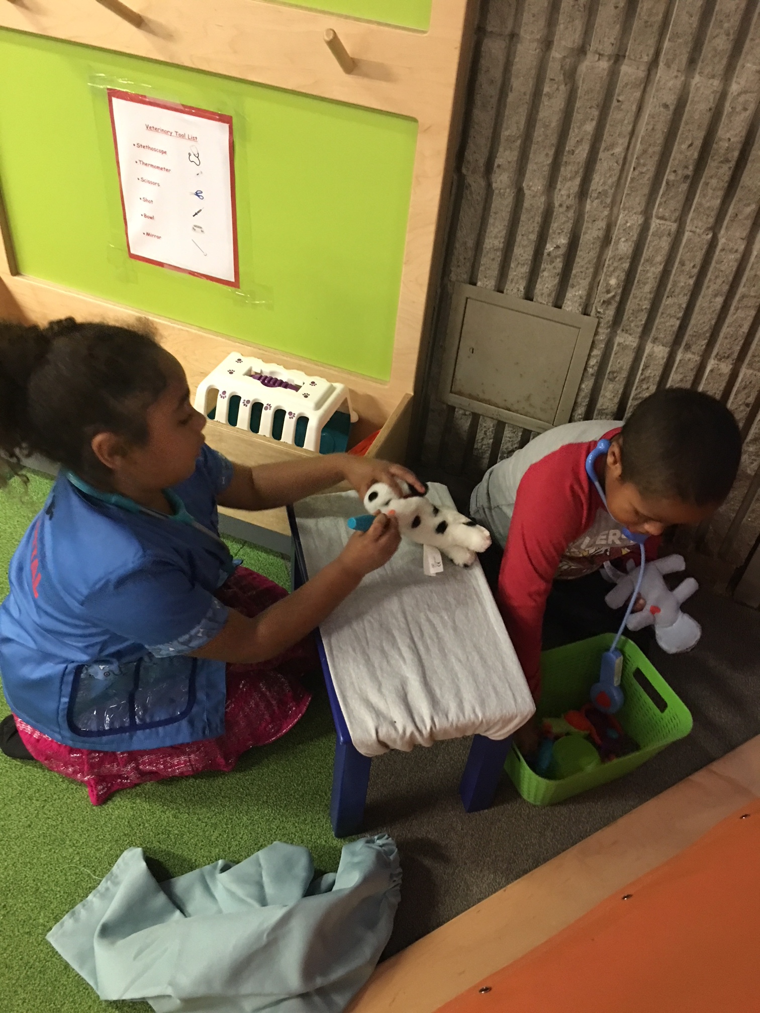 Pretend-play veterinary station at PlaySpace