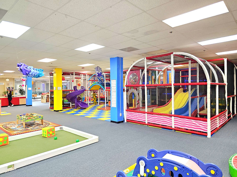 The main play structure and open floor space at Playtime Roanoke.
