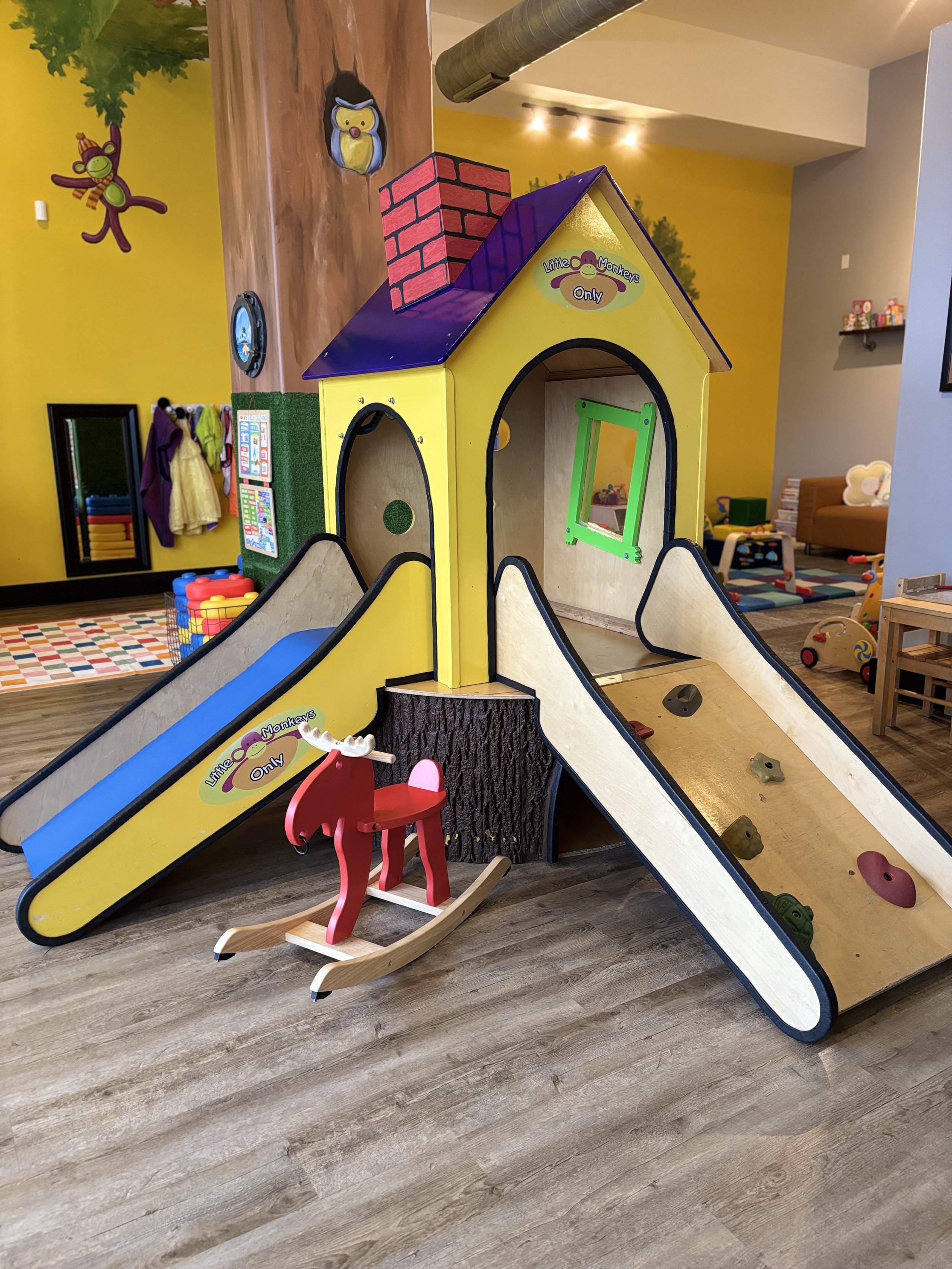 Purple Monkey Playroom