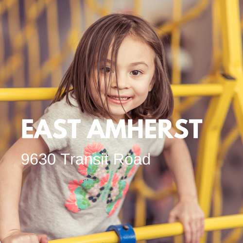 Rolly Pollies of East Amherst location image