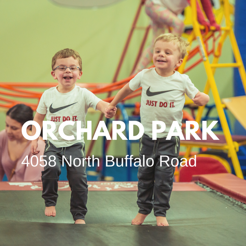 Children playing on gym equipment at Rolly Pollies of Orchard Park.