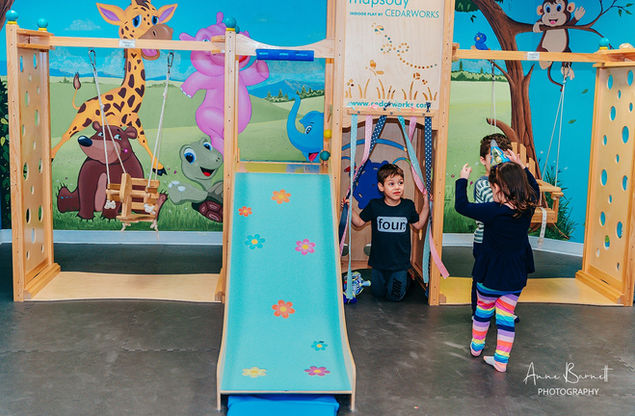 CedarWorks slide and swing area at Room to Bloom.