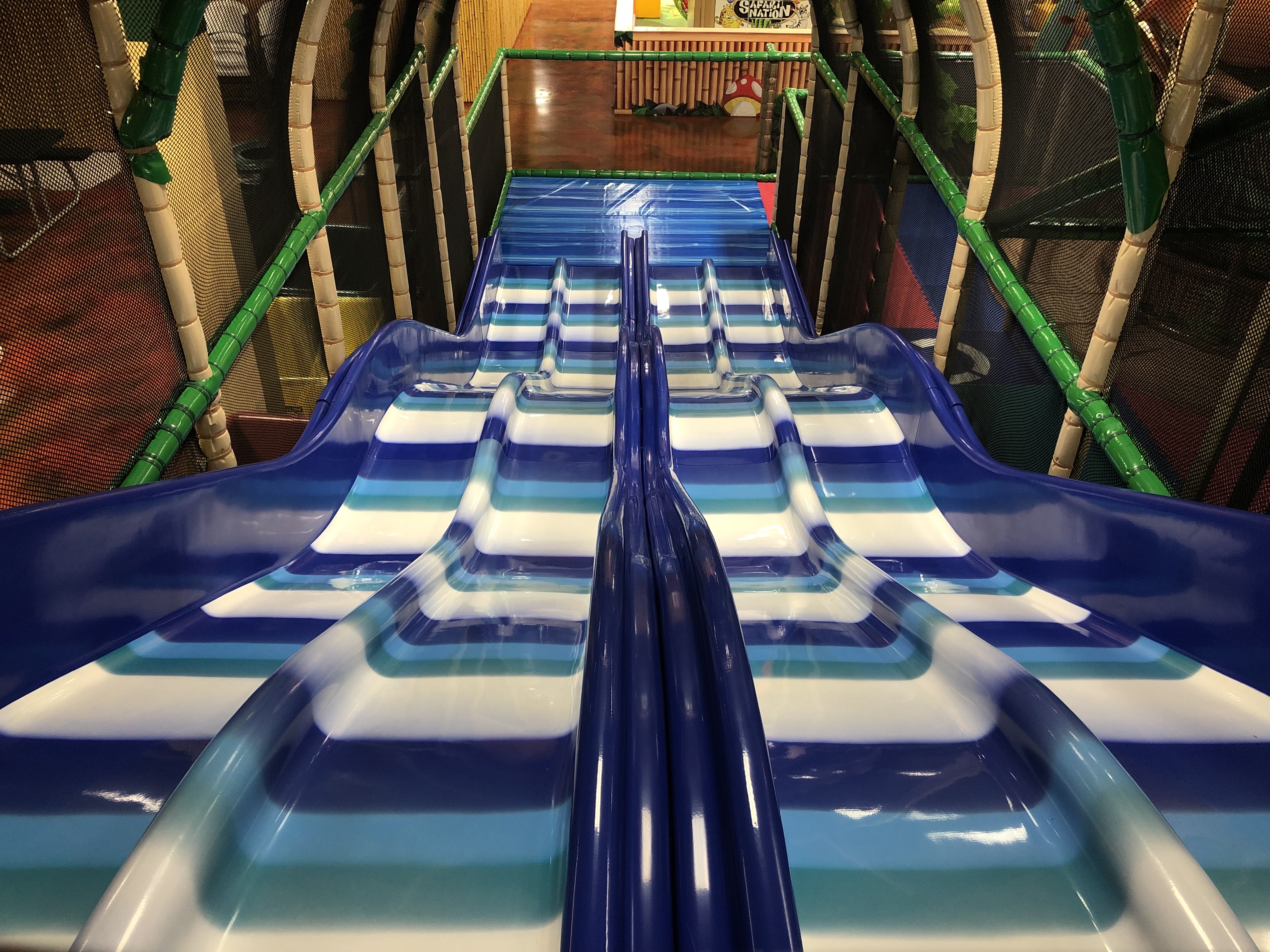 Safari Nation High Point