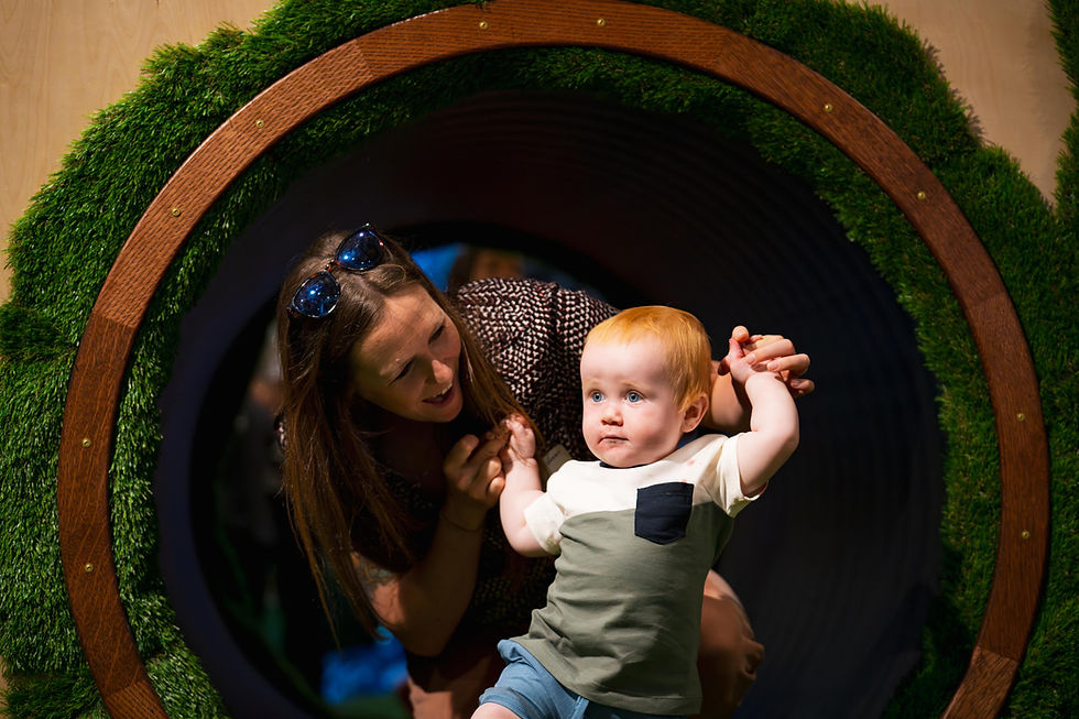 Santa Cruz Children's Museum of Discovery