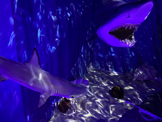 Shark-themed exhibit room at the Science & Discovery Center of Northwest Florida in Panama City.