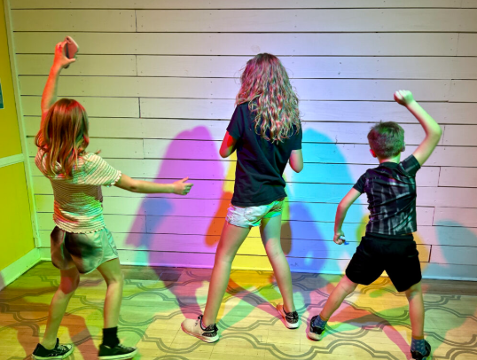 The Curious Museum gallery image 1