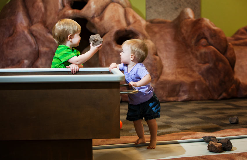 The Discovery gallery image 1