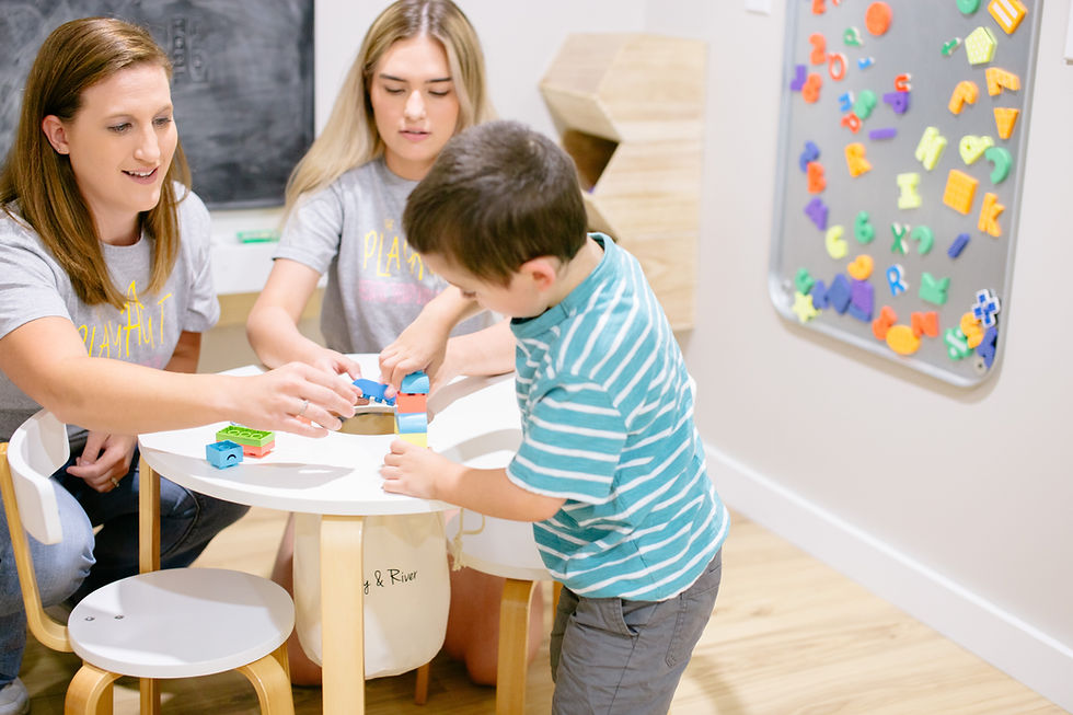 The Play Hut gallery image 2
