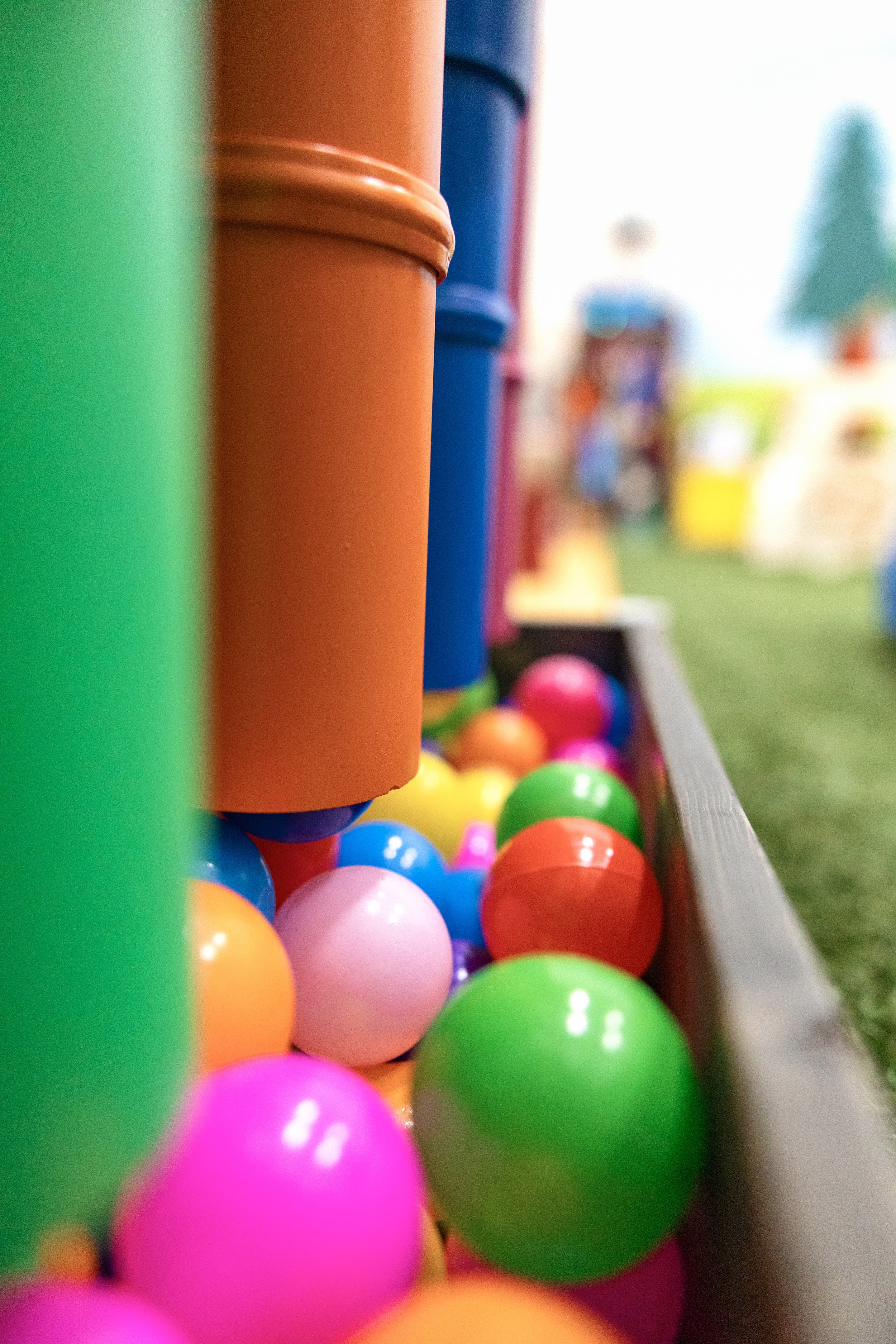 Thunder Bear's Discovery Den gallery image 1