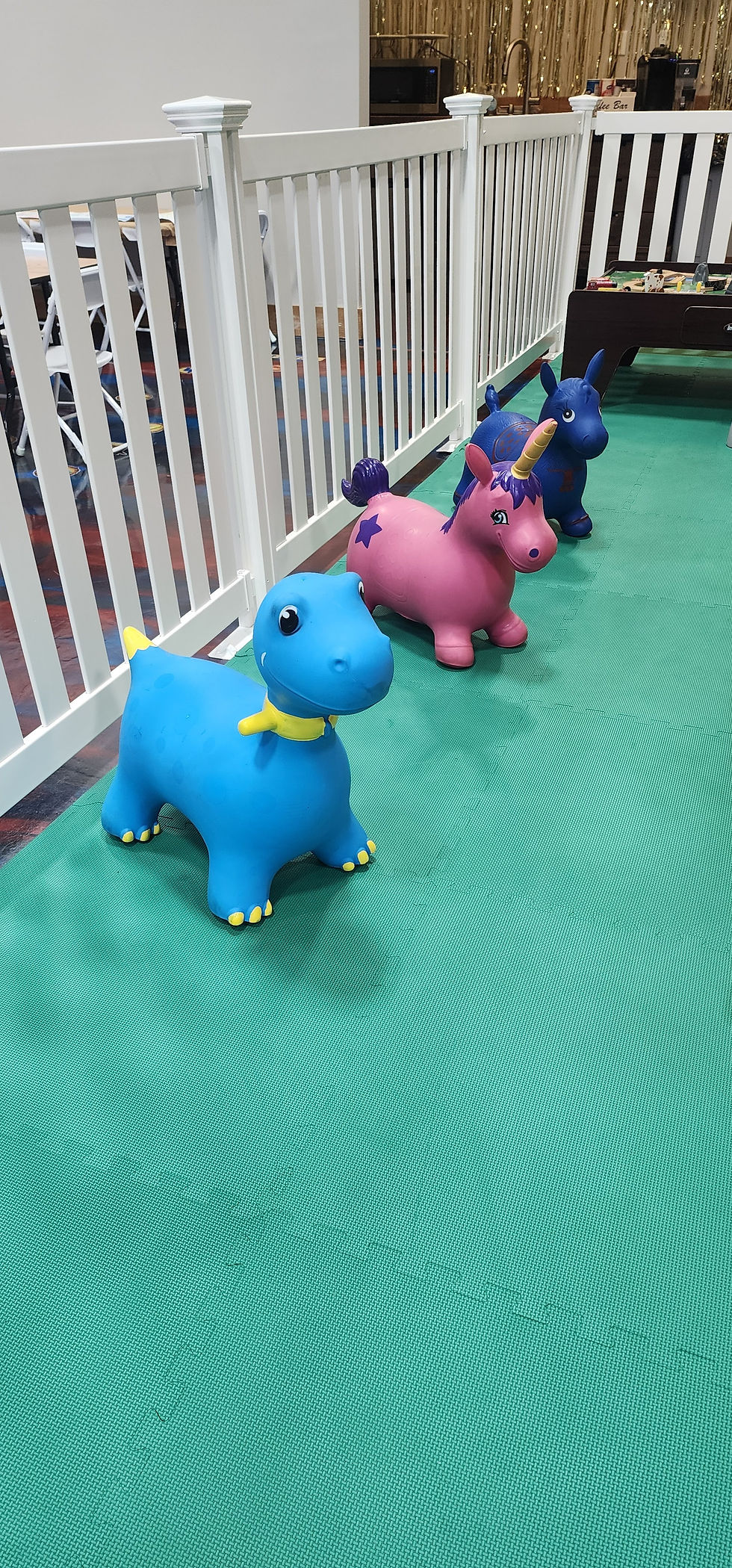 Additional Tots Play World indoor play view