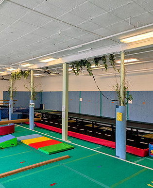 Treehouse Gymnastics