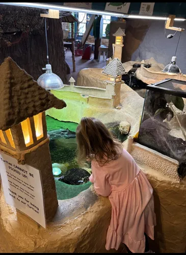 Child looking into the touch-tank area in the Fantastic Forest exhibit.