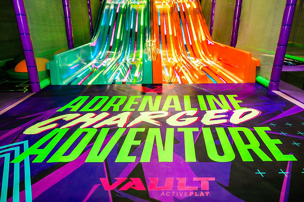 Multi-lane slide area inside Vault ActivePLAY.