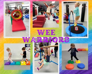 Wee Warriors party or class image