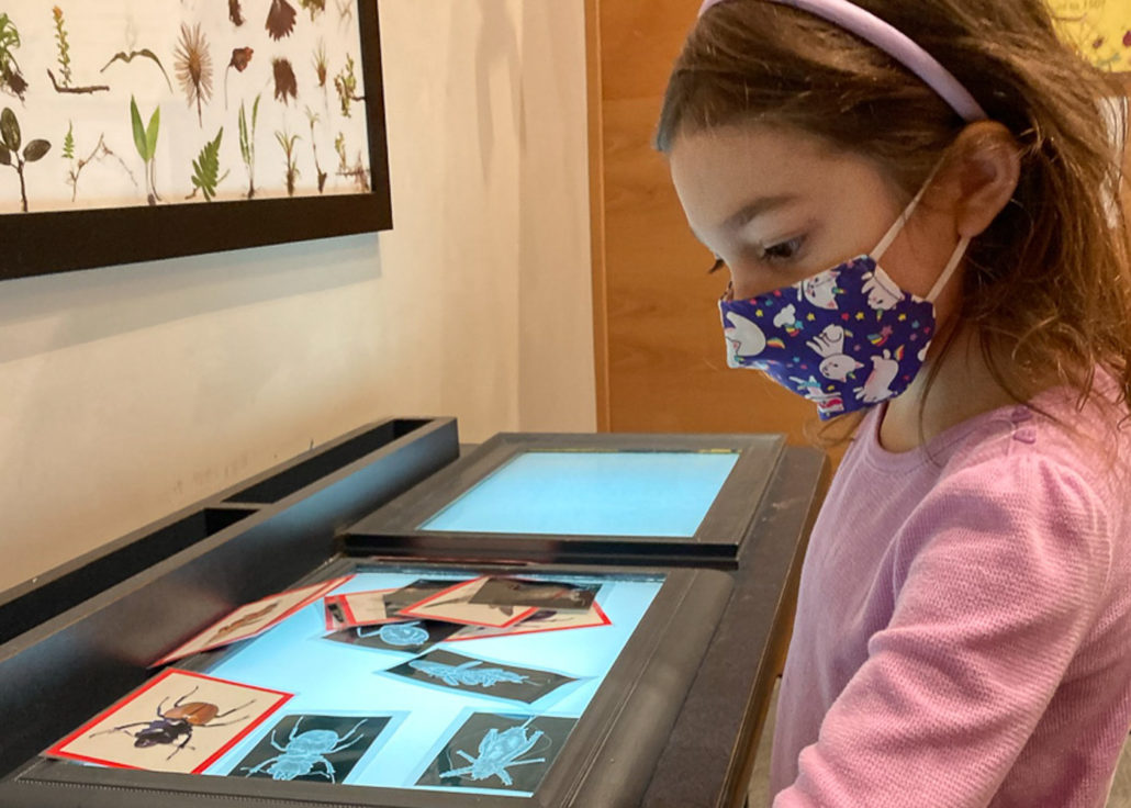 Whatcom Museum Family Interactive Gallery (FIG) gallery image 4