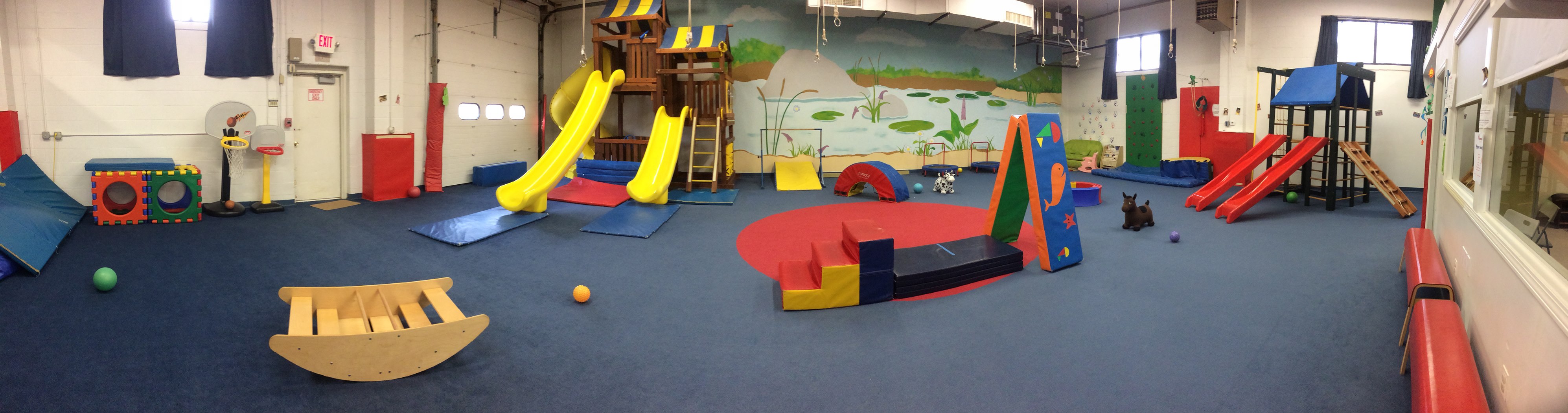 Whippersnapper's Play Gym